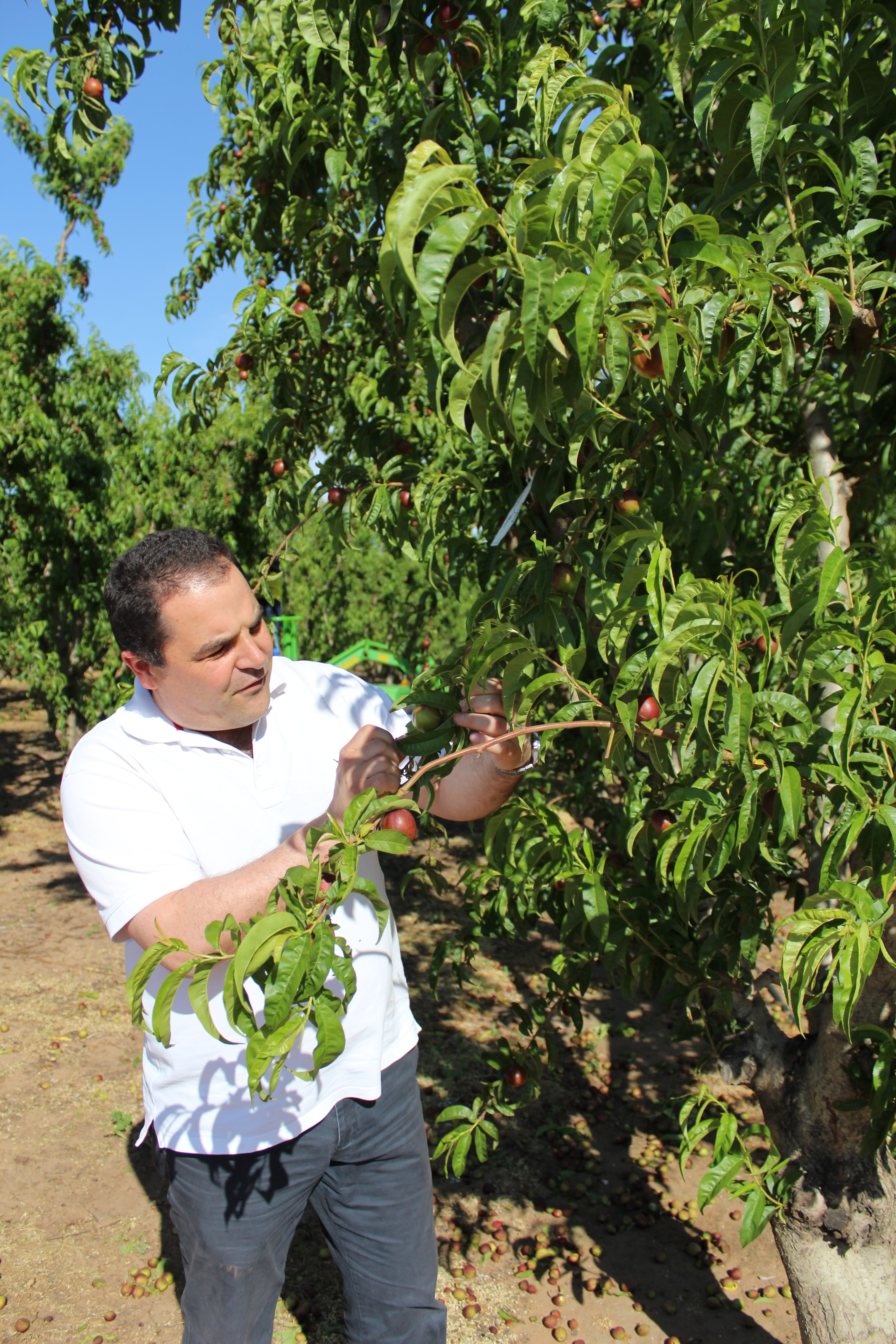 PASIN MEETS WITH FRUIT GROWERS