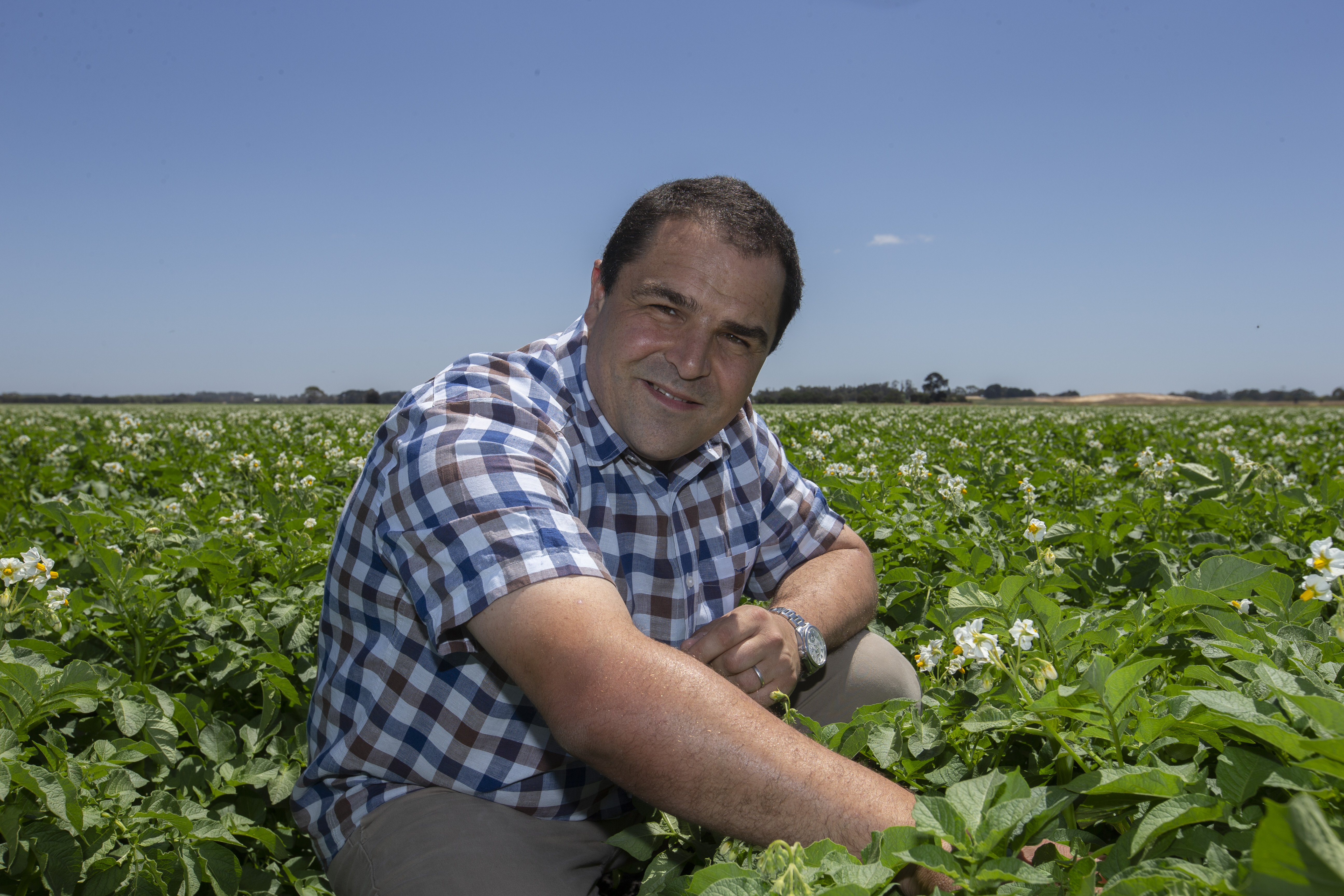 IMPROVED MARKET ACCESS FOR AUSSIE POTATOES – A WIN FOR BARKER