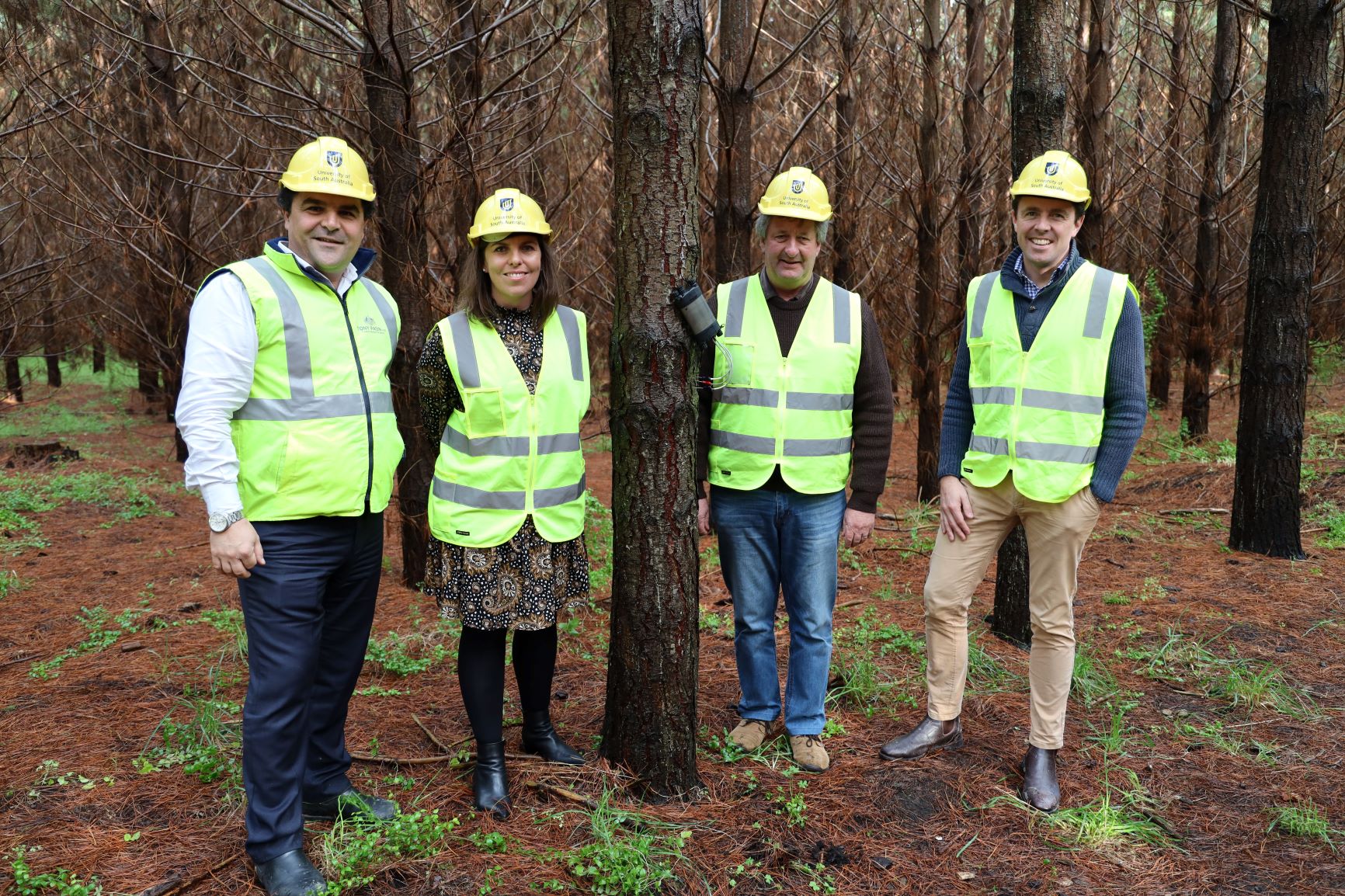 GREEN TRIANGLE FOREST INDUSTRY BENEFITING FROM HUB